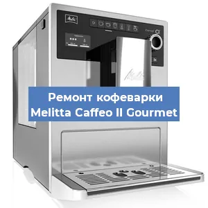 Ремонт кофемашины Melitta Caffeo II Gourmet в Нижнем Новгороде